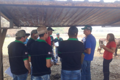 WhatsApp-Image-2020-02-15-at-08.44.29