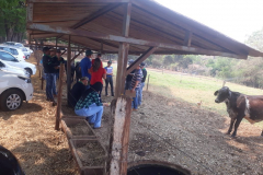 WhatsApp-Image-2020-02-15-at-08.44.32