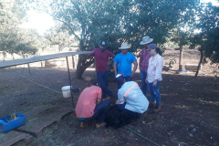 WhatsApp-Image-2020-02-15-at-08.44.45